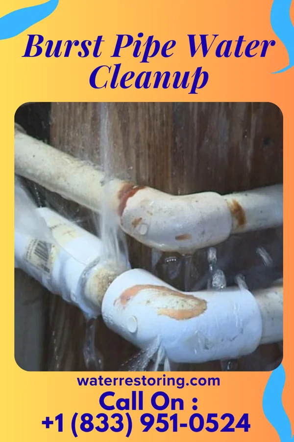 Burst Pipe Water Cleanup in Masonville, IA
