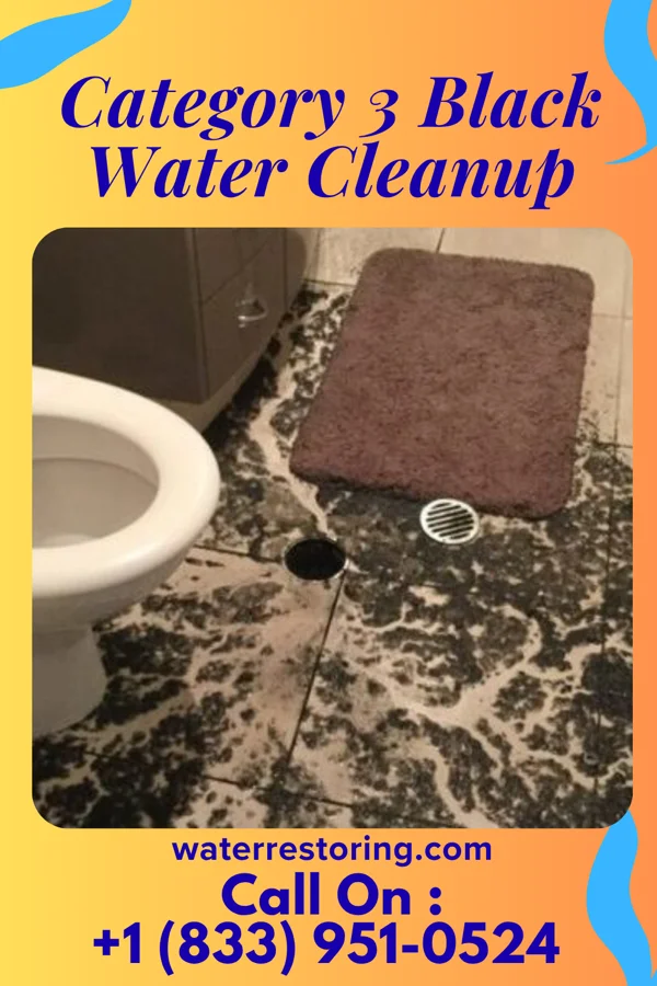 Category 3 Black Water Cleanup in Masonville, IA