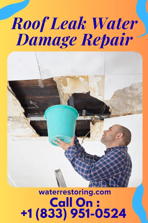 Roof Leak Water Damage Repair in Masonville, IA
