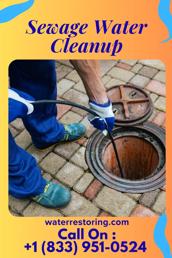 Sewage Water Cleanup in Masonville, IA